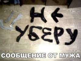 Смешные картинки с надписями