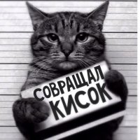 Про зашквар кота в голос ржал! )))