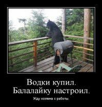 Иностранцы о русских мужчинах