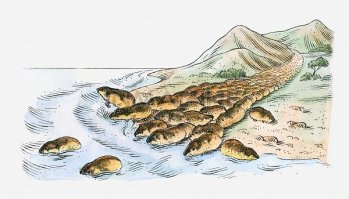 вот самое массовое самоубийство