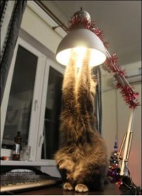 Как мы в лифте падали