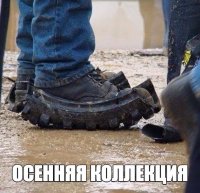 Так вот откда, колейность??