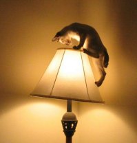 "Я — жертва аборта"