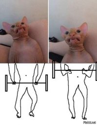 Неполитические комментарии и картинки из соц.сетей