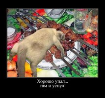 Кот тоже устал :)
