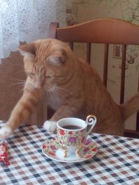 просто пьём кофе