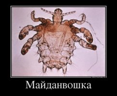 Существо очень заразное и прожорливое.