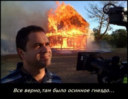 Огромное осиное гнездо на чердаке дома