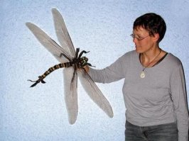 Последняя фотка со скорпионом говорит о том, что в истории планеты были периоды с гораздо большим содержанием кислорода в атмосфере, а если еще точнее, то парциальное давление кислорода было выше. Это может быть и при другом соотношении кислорода и углекислого газа. 
В карбоновом периоде были и такие