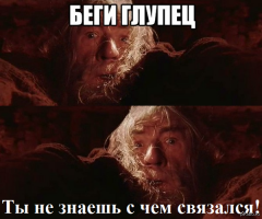 Огромное осиное гнездо на чердаке дома