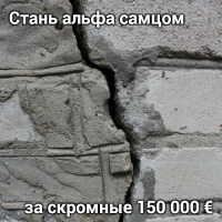 Студентка из России выставила свою девственность на продажу онлайн