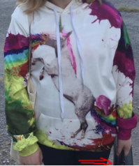 У неё дипломат в руке?