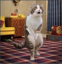 Задом наперед