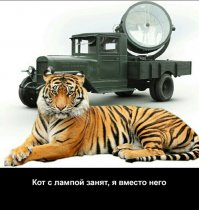 Дураков надо знать в лицо