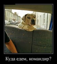 Автор сего демотиватора реально считает, что тот, кто сидит сзади, в багажнике, и есть водитель?:)