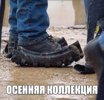 Так вот как выглядят гавнодавы!