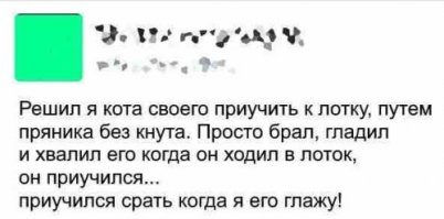 Задом наперед