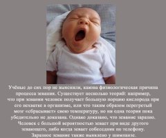 Все зевнули?