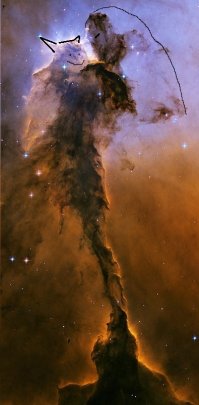 девочка держит на руках кота