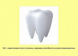 моему знакомому в детстве выбили коренной зуб, скоро вырос новый!)