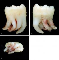 точно что ли?