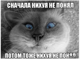 Полез быковать , будь готов и получить по морде