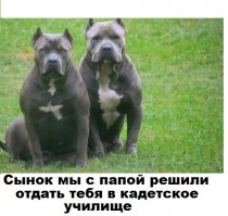 Осторожно! Злая собака!