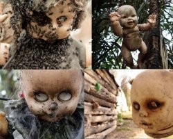 Я приглядел для них местечко