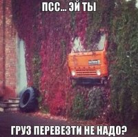 Камаз проскакун