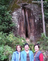 В Китае открылся стеклянный туалет с видом на экопарк