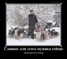 Осторожно! Злая собака!