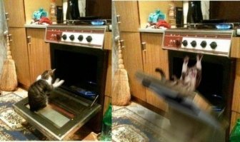 Эти вещи, которые вы всегда считали бессмысленными, оказывается, существуют не зря!