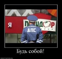 Эвакуаторщикам не удалось увезти на штрафстоянку полицейскую машину