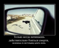 Байки из склепа: работники похоронных служб рассказывают о кошмарах на работе