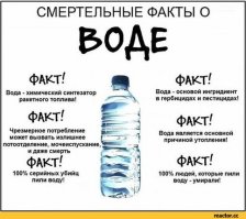 Интересные факты в картинка