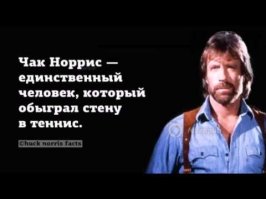Интересные факты в картинка
