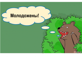 Молодожены