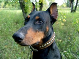 мой красавчик))) добрейшей души человек