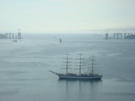 Их ещё много есть........