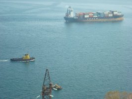 Их ещё много есть........