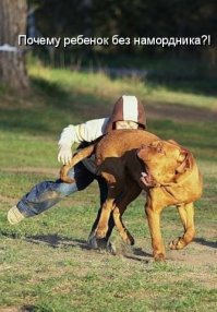 Смешные картинки из соц.сетей