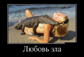 А на крокодиле то намордник надет!