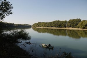 Лето крупным планом