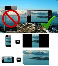 Жить захочешь – не так раскорячишься: медведь-скалолаз в Приамурье