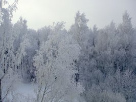 А вот мой вид из окна.