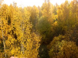 А вот мой вид из окна.