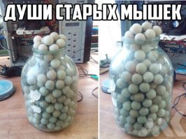 Эти вещи, которые вы всегда считали бессмысленными, оказывается, существуют не зря!