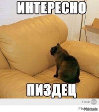 18 фото из прошлого, от которых у вас пробежит холодок по спине