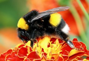 А вот еще моя фоточка