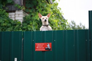 С другой стороны жена держит)